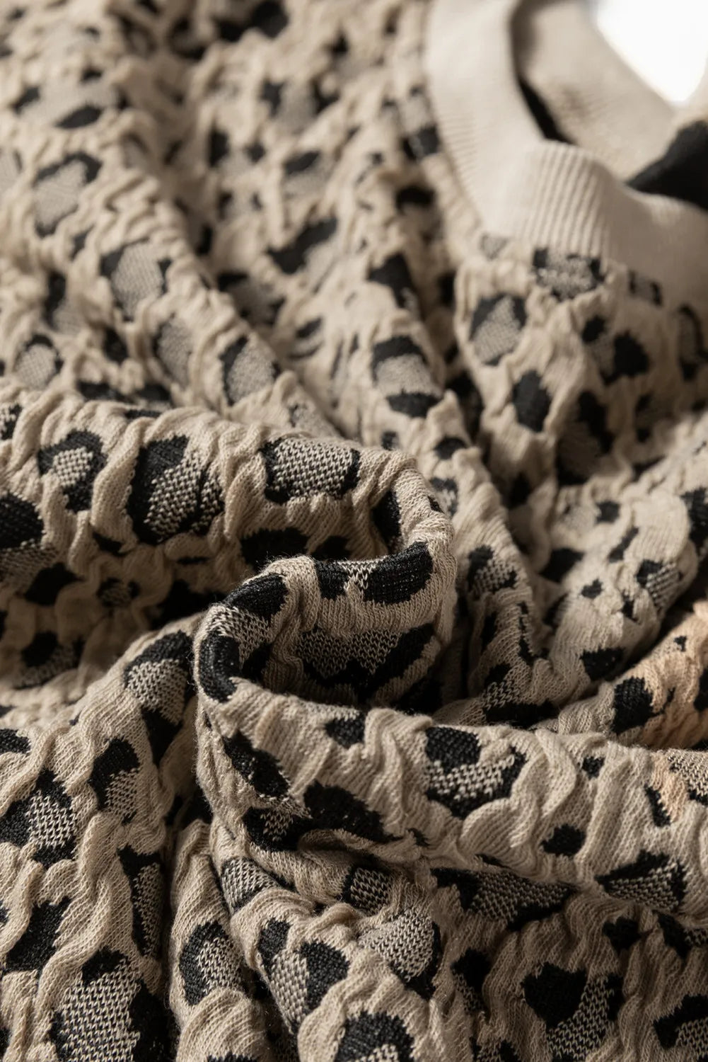 Leopard Print Long Sleeve Top
